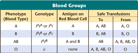Тайп перевод. The genotype группа. Blood Groups and Transfusions. Blood Type Inheritance. Blood Type IV genotype.